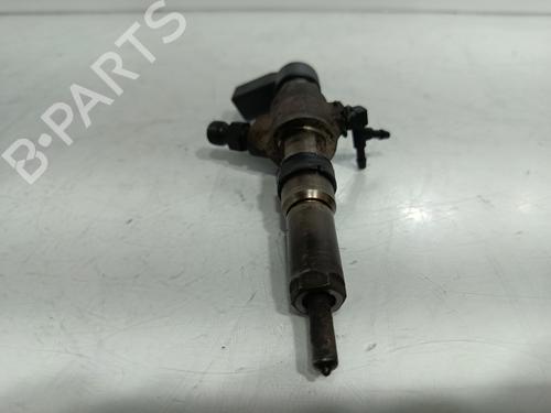 Injector FORD FIESTA V (JH_, JD_)  | BP29875052M100