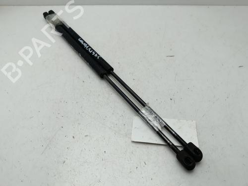 Tailgate lift support FORD FUSION (JU_) 1.4 TDCi | BP29763628C138