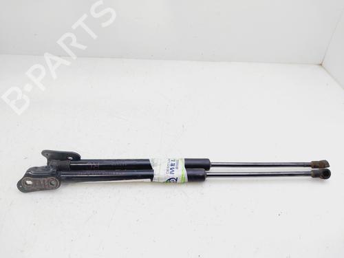 Tailgate lift support TOYOTA YARIS (_P13_)  | BP26593246C138