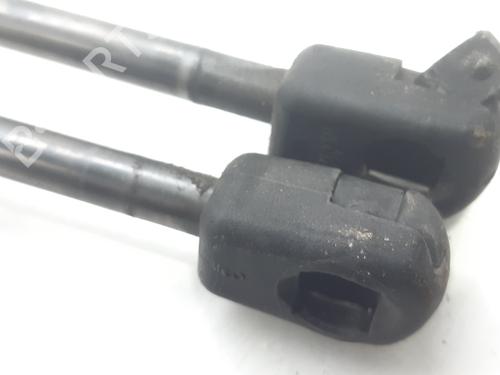 Tailgate lift support RENAULT SCÉNIC II (JM0/1_) 1.9 dCi (JM0G, JM12, JM1G, JM2C) | BP14006019C138 