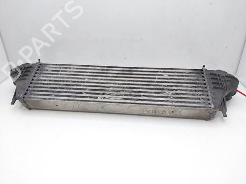 Intercooler BMW X5 (E53)  | BP13704187M30 