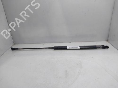 Tailgate lift support SEAT TOLEDO III (5P2)  | BP17181089C138 