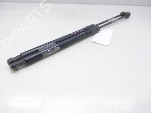 Tailgate lift support SKODA FABIA II (542)  | BP14009660C138 