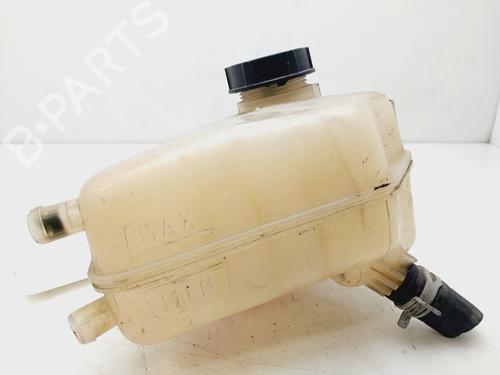 Expansion tank FORD FIESTA VI (CB1, CCN) 1.4 TDCi | BP22308915C120 