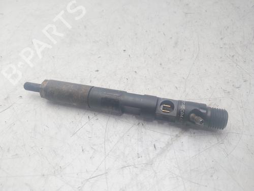 Injector RENAULT SCÉNIC II (JM0/1_)  | BP29497366M100 
