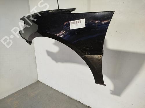 Left front fenders VW PASSAT CC B6 (357) 2.0 TDI | BP30961397C41