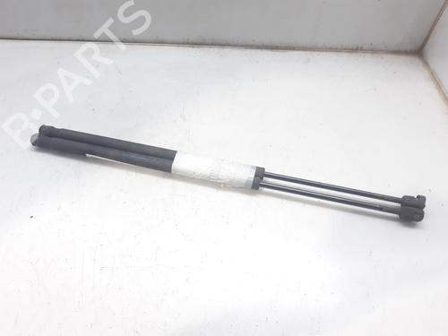 Tailgate lift support SMART FORFOUR (454) 1.1 (454.033) 4547400145 |
