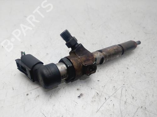 Injector FORD S-MAX (WA6)  | BP29820896M100