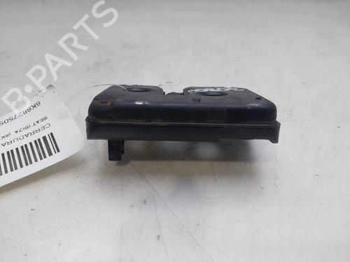 Tailgate lock SEAT IBIZA II (6K1) 1.4 i | BP16885969C101 