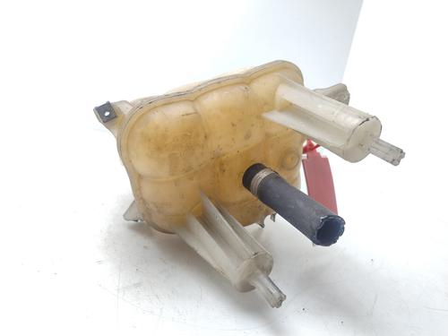 Expansion tank FIAT DUCATO Van (250_) 115 Multijet 2,0 D | BP29531729C120 