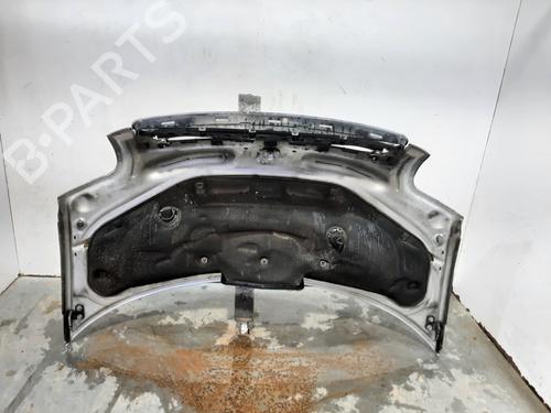Hood AUDI A2 (8Z0) 1.4 | BP16211842C1 