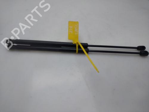 Hood lift support AUDI Q7 (4LB) 3.0 TDI quattro | BP17070290C139 