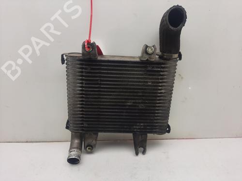 Intercooler KIA CARNIVAL II (GQ) 2.9 CRDi | BP17187198M30 