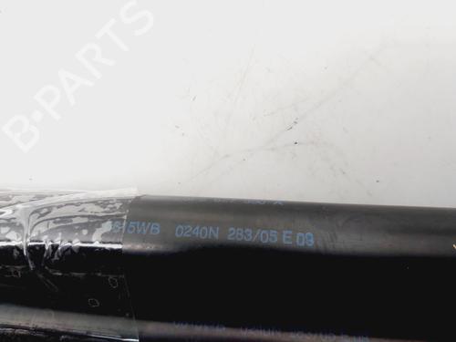 Tailgate lift support SEAT TOLEDO III (5P2)  | BP21177861C138 