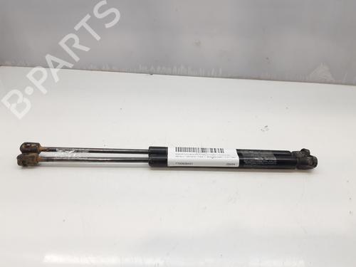 Achterklepdemper RENAULT MEGANE I (BA0/1_) 1.9 dTi (BA1U) (80 hp) 14005927