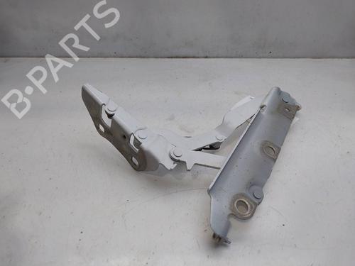 Hinge/Door check strap JAGUAR XF I (X250) 2.2 D | BP16527913C146 