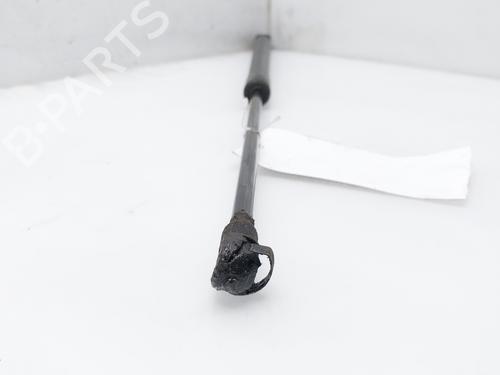 Hood lift support VW POLO IV (9N_, 9A_) 1.4 TDI | BP18033572C139 