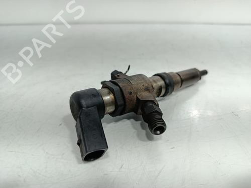 Injector FORD FIESTA V (JH_, JD_)  | BP29875052M100