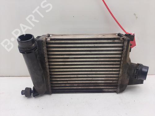 Intercooler DACIA DOKKER Express Box Body/MPV  | BP17046860M30 