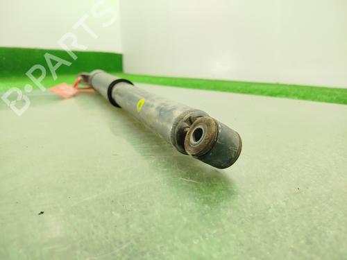 Right rear shock absorber FORD KUGA II (DM2)  | BP29815621M19