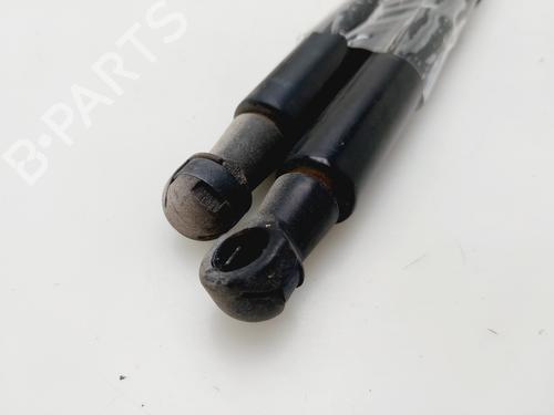 Tailgate lift support SKODA FABIA II (542)  | BP28208336C138 