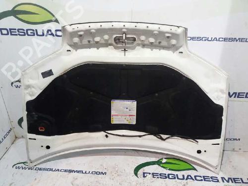 Hood FIAT PUNTO (188_) 1.3 JTD 16V | BP11508243C1 