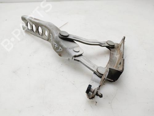 Hinge/Door check strap SKODA OCTAVIA II (1Z3) 1.9 TDI | BP21550169C146 