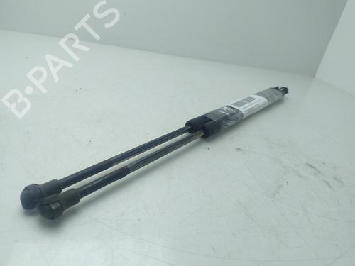 Tailgate lift support BMW X5 (E53)  | BP27674321C138 