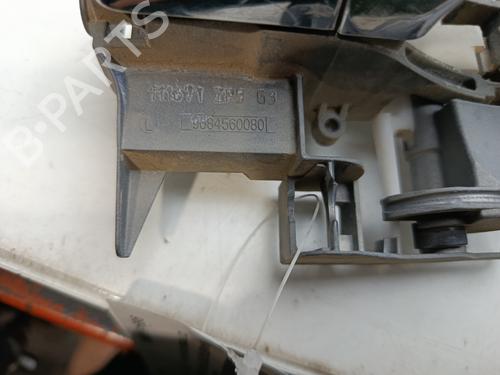 Rear left exterior door handle CITROËN C3 II (SC_)  | BP30870822C130 