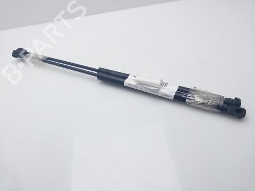 Tailgate lift support CITROËN C4 Coupe (LA_) 1.6 HDi | BP16007118C138 