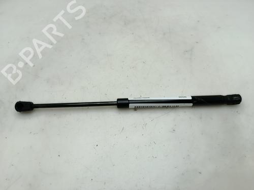 Tailgate lift support VW PASSAT B6 (3C2)  | BP29288790C138 