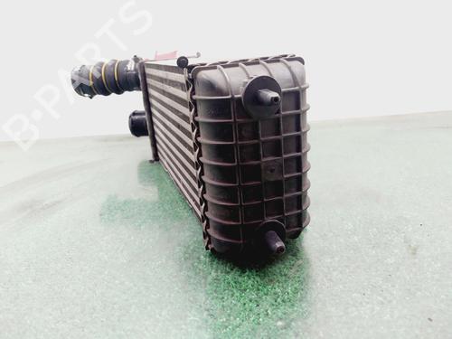 Intercooler CITROËN C4 CACTUS 1.2 THP 110 | BP29326361M30 