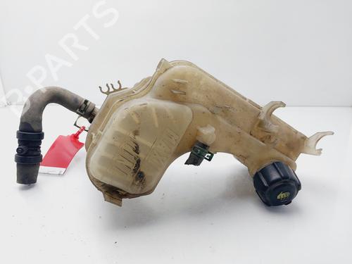 Expansion tank RENAULT LAGUNA III (BT0/1) 2.0 dCi (BT07, BT0J, BT14, BT1A, BT1S) | BP32261612C120 