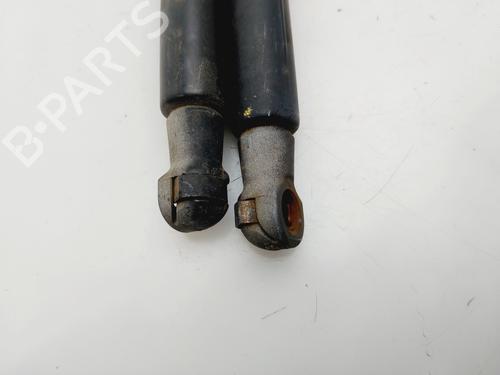 Tailgate lift support AUDI A3 (8P1) 1.9 TDI | BP29584506C138 