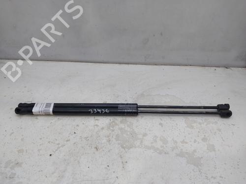 Used Tailgate lift support LAND ROVER RANGE ROVER SPORT I (L320) 2.7 D 4x4 (190 hp) 17612591