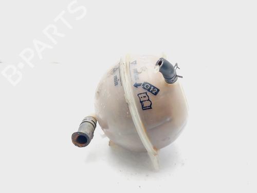Expansion tank SEAT IBIZA II (6K1) 1.9 TDI | BP19538345C120 