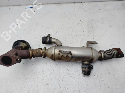 Egr für Egr CITROËN BERLINGO / BERLINGO FIRST MPV (MF_, GJK_, GFK_) 1.9 D (MFWJZ) (70 hp) 34613029 34613029
