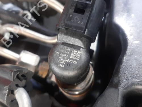 Engine SKODA OCTAVIA II (1Z3) 1.6 TDI | BP29329397M1