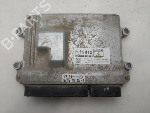 Computer motormanagement Computer motormanagement 38191503 38191503