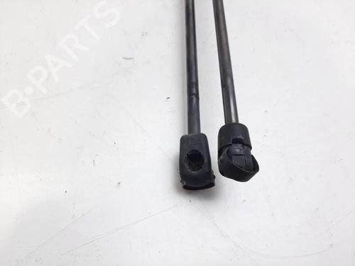 Tailgate lift support RENAULT MEGANE III Grandtour (KZ0/1)  | BP18198456C138