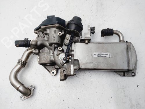 Egr AUDI A4 B8 (8K2) 2.0 TDI | BP29013652M69