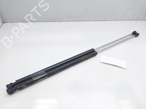 Gasdemper motorkap PEUGEOT 106 II (1A_, 1C_) 1.1 i (60 hp) 14007284