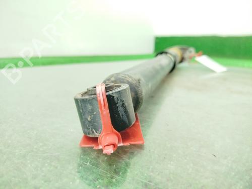 Left rear shock absorber VW TIGUAN (5N_)  | BP30121171M18 