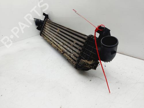 Intercooler VOLVO V50 (545) 2.0 D | BP21022672M30 