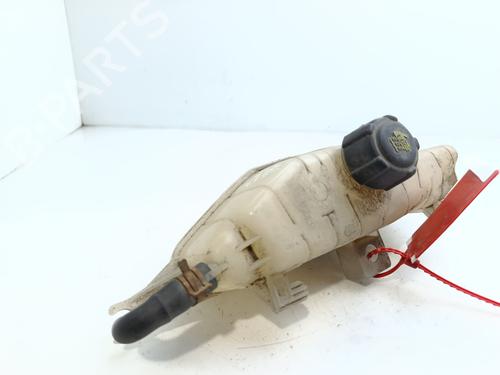Used Expansion tank RENAULT CLIO III (BR0/1, CR0/1) [2005-2014]  29040696