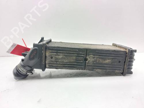 Intercooler CITROËN XSARA PICASSO (N68) 1.6 HDi | BP16160186M30 