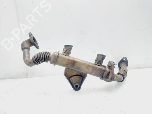 Used Egr NISSAN NAVARA NP300 (D40) [2004-2025]  26610323