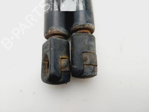 Tailgate lift support VW GOLF IV (1J1)  | BP29908784C138 