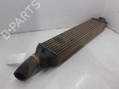 Intercooler FIAT BRAVO II (198_) 1.9 D Multijet (198AXB1A) | BP6582287M30 