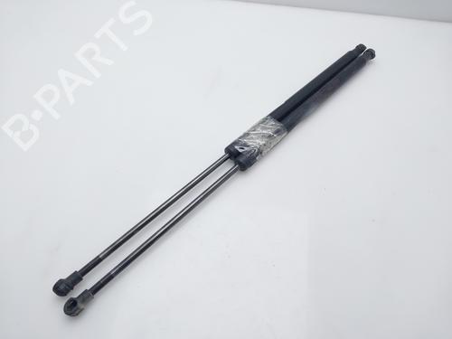 Tailgate lift support NISSAN QASHQAI / QASHQAI +2 I (J10, NJ10, JJ10E) 1.5 dCi | BP16214077C138 